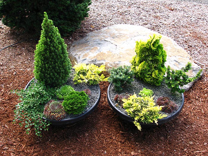 Deux Jardins miniatures en pot