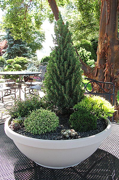 Jardin Miniature sur une table de patio